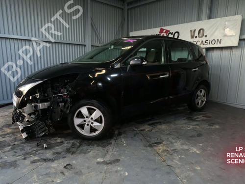 Steering column stalk RENAULT SCÉNIC III (JZ0/1_) 1.9 dCi (JZ0J, JZ1J, JZ1K, JZ1S) | BP30497559I23