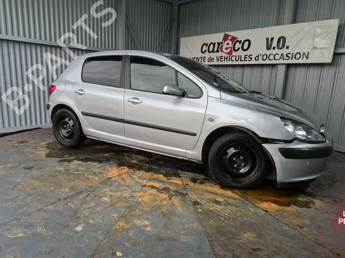 Tailgate lift support PEUGEOT 307 (3A/C) 2.0 16V | BP30970075C138