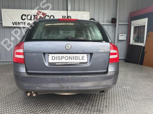 Steering column stalk SKODA OCTAVIA II Combi (1Z5) 1.9 TDI | BP32069305I23 