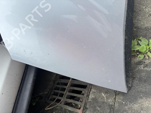 Used Hood SEAT ALHAMBRA (7V8, 7V9) 2.0 TDI (140 hp) 21298857