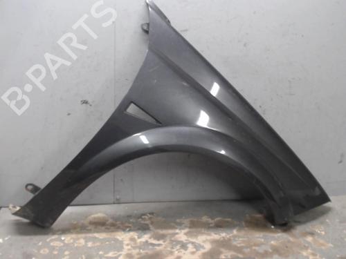 Used Right front fenders RENAULT MEGANE II Coupé-Cabriolet (EM0/1_) 1.9 dCi (120 hp) 21302061