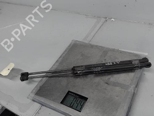 Tailgate lift support CITROËN C3 I (FC_, FN_) 1.4 HDi | BP21365303C138 