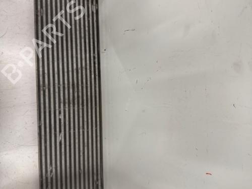 Used Intercooler Intercooler FORD FOCUS IV (HN) 1.0 EcoBoost mHEV (155 hp) 40223899 40223899