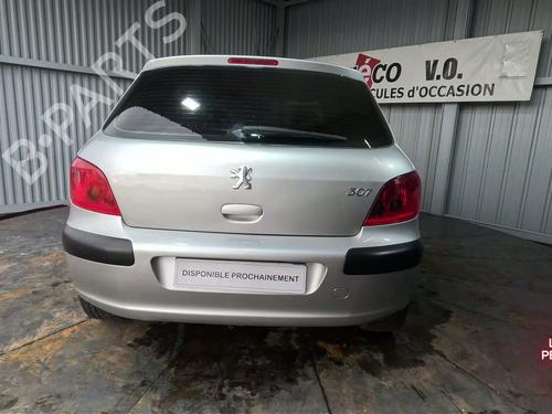 Left taillight PEUGEOT 307 (3A/C) 2.0 16V | BP30970073C34