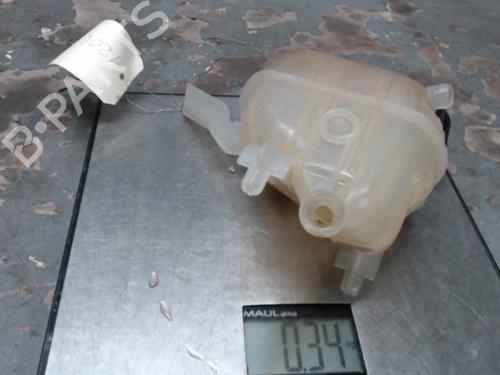 Expansion tank PEUGEOT 508 SW I (8E_) 1.6 HDi | BP21312549C120