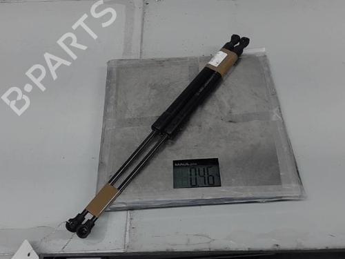 Tailgate lift support RENAULT CLIO IV (BH_) 1.5 dCi 90 | BP21365453C138 
