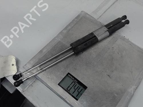 Tailgate lift support RENAULT CLIO III (BR0/1, CR0/1) 1.5 dCi (C/BR0G, C/BR1G) | BP21372683C138 