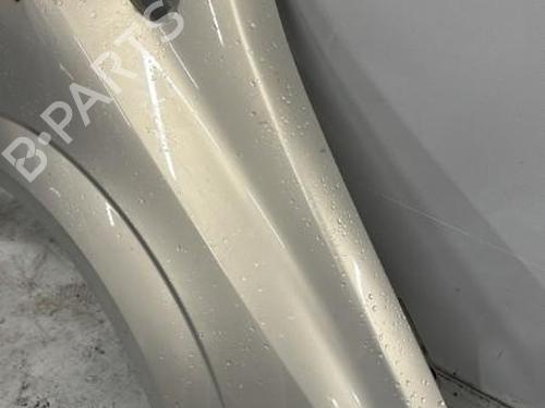 Right front fenders OPEL ZAFIRA / ZAFIRA FAMILY B (A05) 1.9 CDTI (M75) | BP21312424C42 