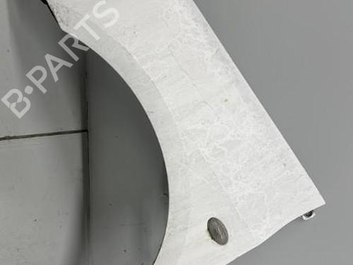 Left front fenders PEUGEOT 307 (3A/C) 2.0 HDi 90 | BP21315622C41 