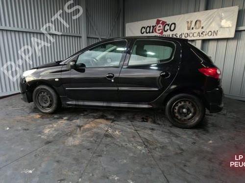 Steering pump PEUGEOT 206+ (2L_, 2M_) 1.1 | BP31371346M99 