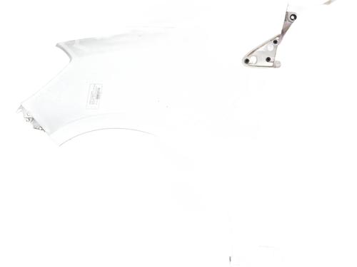 Left front fenders RENAULT CLIO III (BR0/1, CR0/1) 1.5 dCi (BR17, CR17) | BP25489845C41 