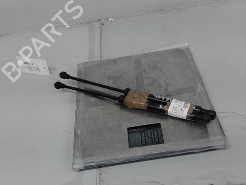 Used Hood lift support RENAULT KANGOO Express (FW0/1_) 1.5 dCi 75 (FW07, FW10, FW04) (75 hp) 21368066