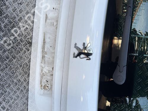Tailgate PEUGEOT 207 SW (WK_) 1.6 HDi | BP31290310C6 