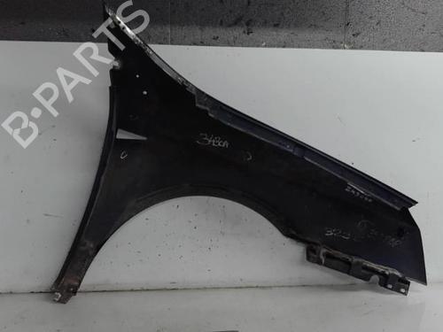 Left front fenders RENAULT VEL SATIS (BJ0_) 2.2 dCi (BJ0E, BJ0F) | BP21314420C41 