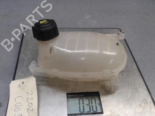 Ekpansionstank RENAULT CLIO V (B7_) 1.0 TCe 100 (B7MT) (101 hp) 21290824