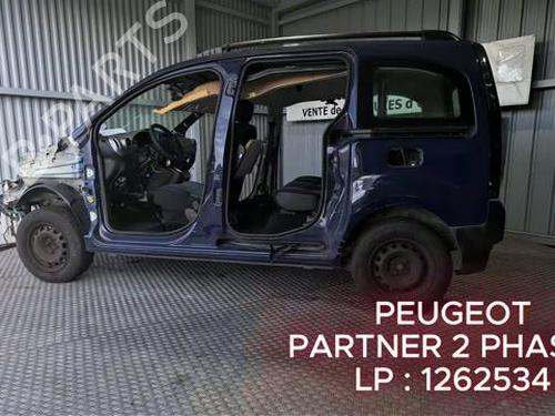 Recambios PEUGEOT PARTNER Tepee 1.6 BlueHDi 120 4819161