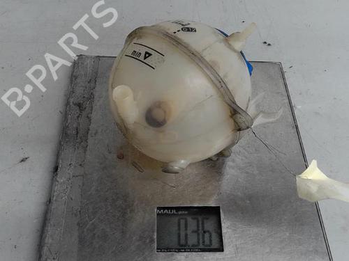 Expansion tank VW CADDY III Box Body/MPV (2KA, 2KH, 2CA, 2CH) 1.9 TDI | BP21319402C120