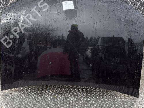 Used Hood DACIA DUSTER (HS_) 1.6 16V Hi-Flex (105 hp) 30327137