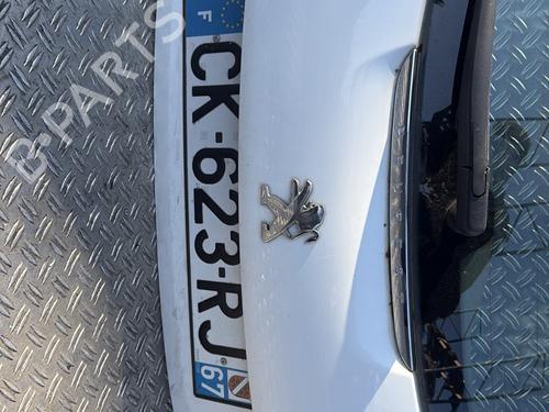 Tailgate PEUGEOT 208 I (CA_, CC_) 1.4 HDi | BP24430196C6