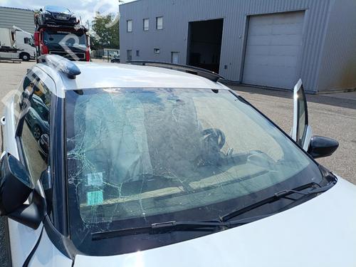 - Image 3