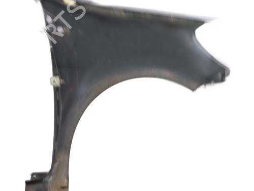 Left front fenders RENAULT CLIO III (BR0/1, CR0/1) 1.5 dCi (C/BR0G, C/BR1G) | BP28169698C41