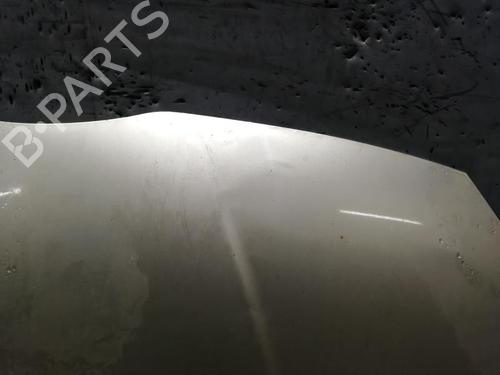 Hood TOYOTA COROLLA Verso (ZER_, ZZE12_, R1_) 2.2 D-4D (AUR10_, AUR10R) | BP21366040C1 