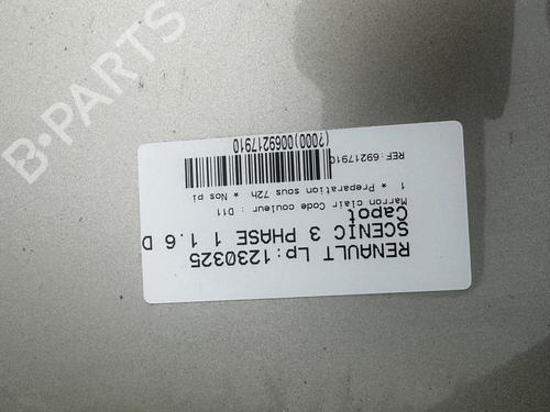 Hood RENAULT SCÉNIC III (JZ0/1_) 1.6 dCi (JZ00, JZ12) | BP21318394C1
