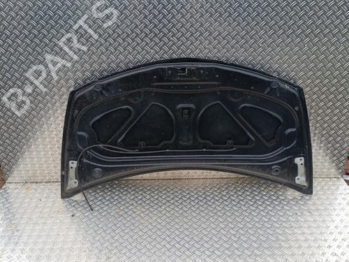 Hood RENAULT CLIO III (BR0/1, CR0/1) 1.2 16V Hi-Flex (BR1U, CR1U) | BP26294597C1 