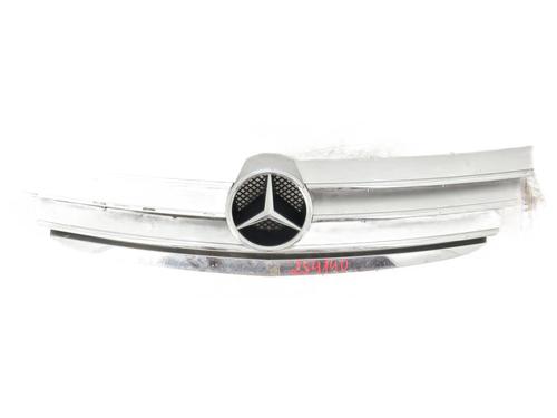 grille-mercedes-benz-a-class-w169-2004-2005-2006-2007-2008-2009-2010-2011-2012-32186746 main image