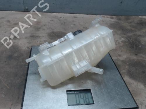 Used Expansion tank RENAULT KANGOO Express (FW0/1_) 1.5 dCi 90 (FW0G, FW05, FW08, FW11) (90 hp) 21307743