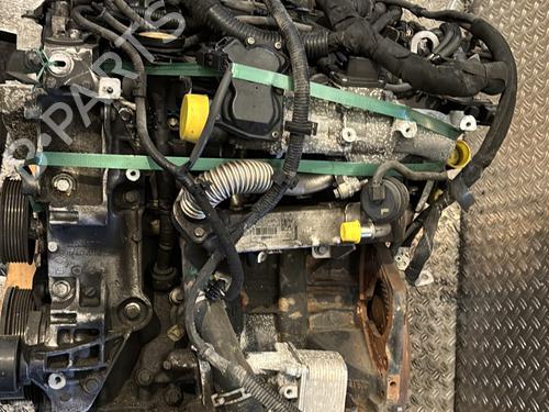 Used Engine Engine RENAULT ESPACE IV (JK0/1_) 2.0 dCi (JK03, JK04, JK1C, JK1G, JK1J, JK1K) (173 hp) 25158848 25158848
