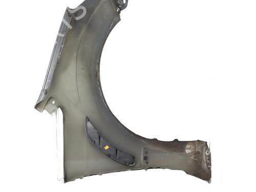 Left front fenders FORD S-MAX (WA6) 1.8 TDCi | BP21316058C41 