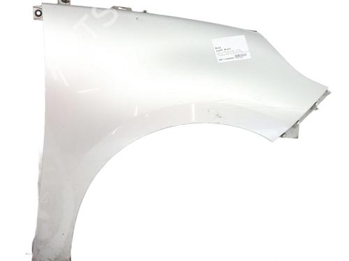Forskærm Højre Forskærm Højre RENAULT SCÉNIC III (JZ0/1_) 1.5 dCi (110 hp) 29700783 29700783