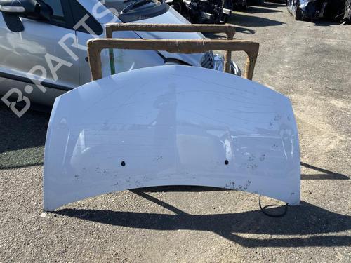 Hood RENAULT CLIO III (BR0/1, CR0/1) 1.5 dCi | BP21367709C1