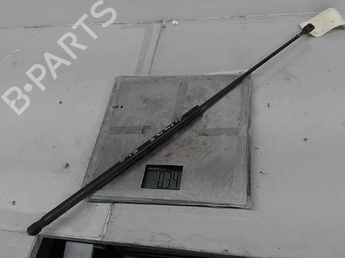 Hood lift support VOLVO S40 II (544) 2.0 D | BP21368518C139 