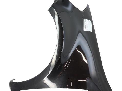 Used Left front fenders RENAULT CLIO III (BR0/1, CR0/1) 1.2 16V Hi-Flex (BR1U, CR1U) (75 hp) 29339382