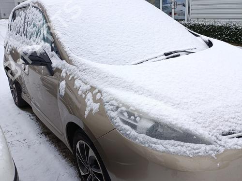 Rear left seatbelt RENAULT SCÉNIC III (JZ0/1_) 1.2 TCe (JZ16) | BP32209958I29 