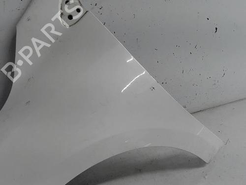 Left front fenders RENAULT MEGANE III Hatchback (BZ0/1_, B3_) 1.5 dCi (BZ09, BZ0D, BZ1W, BZ29, BZ14) | BP21300470C41 