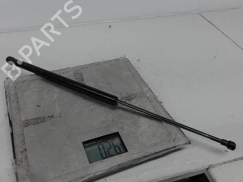 Used Tailgate lift support PEUGEOT 107 (PM_, PN_) 1.4 HDi (54 hp) 21369470