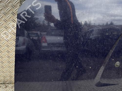 Used Hood Hood DACIA SANDERO 1.4 MPI LPG (72 hp) 21312219 21312219