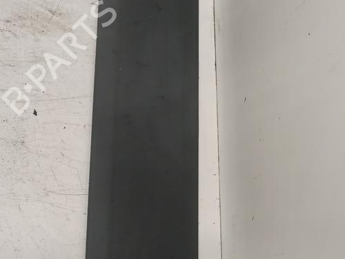 door-moulding-trim-citroen-berlingo-multispace-b9-2008-32782010 main image
