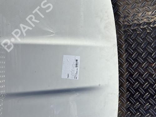 Hood FIAT 500X (334_) 1.4 (334AXC1B, 334AXC11) | BP28012872C1