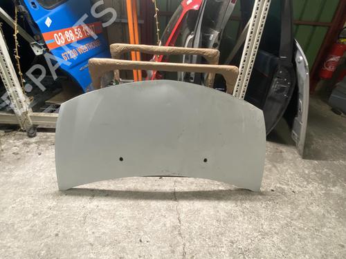 Used Hood RENAULT CLIO III (BR0/1, CR0/1) 1.5 dCi (C/BR0G, C/BR1G) (68 hp) 21369785