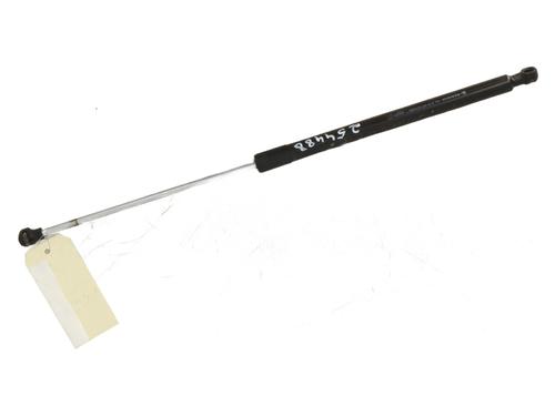 Hood lift support DACIA SANDERO II TCe 90 (B8M1, B8MA, B8AC) | BP31191562C139 