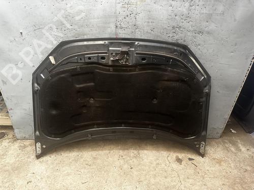 Used Hood VW POLO IV (9N_, 9A_) 1.4 TDI (80 hp) 21290059
