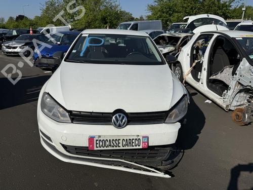 Engine VW GOLF VII (5G1, BQ1, BE1, BE2) 1.6 TDI | BP25713214M1 