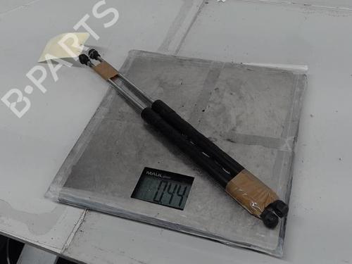 Tailgate lift support RENAULT CLIO III (BR0/1, CR0/1) 1.5 dCi (BR17, CR17) | BP21367068C138 