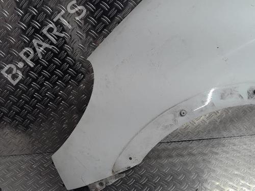 Left front fenders TOYOTA YARIS VERSO (_P2_) 1.3 (NCP20_, NCP22_, NCP20R, NCP22R) | BP24648074C41 