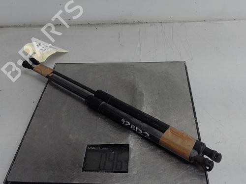 Heckklappendämpfer für CITROËN C3 II (SC_) 1.4 HDi 70 (SC8HZC, SC8HR0, SC8HP4) (68 hp) 21292134