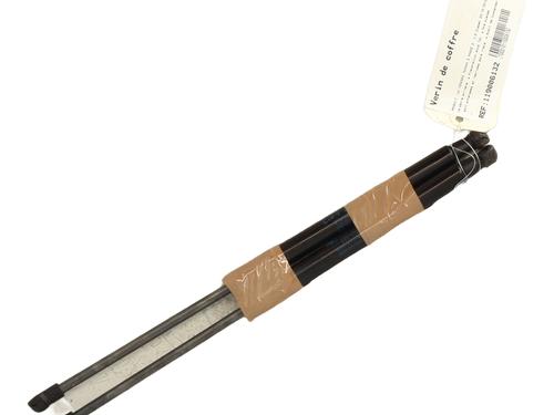 tailgate-lift-support-renault-twingo-ii-cn0_-2007-31370149 main image